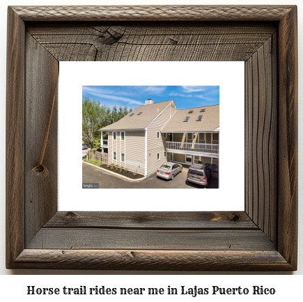 horse trail rides near me in Lajas, Puerto Rico